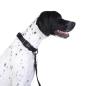 Preview: Doog - Neosport Neoprene Dog Collar - black Gr. S Preview: Doog - Neosport Neoprene Dog Collar - black Gr. S